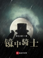 镜中骑士在线阅读