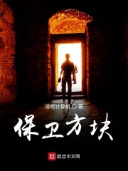保卫方块在线阅读
