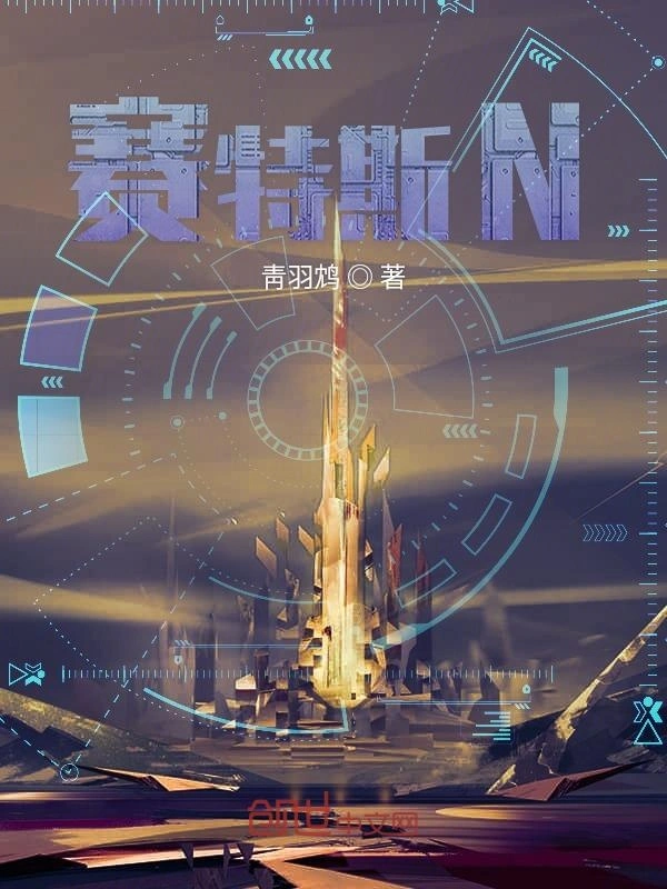 赛特斯N