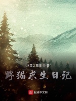 野猫求生日记在线阅读