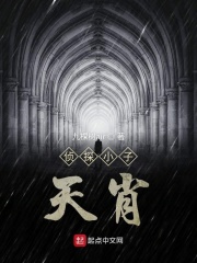 侦探小子天肖在线阅读