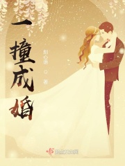 一撞成婚在线阅读