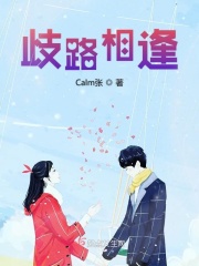 歧路相逢在线阅读