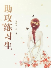助攻练习生在线阅读