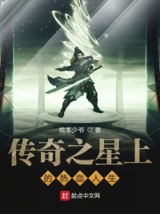 传奇之星上的热血人生在线阅读