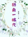 转角一抹光在线阅读