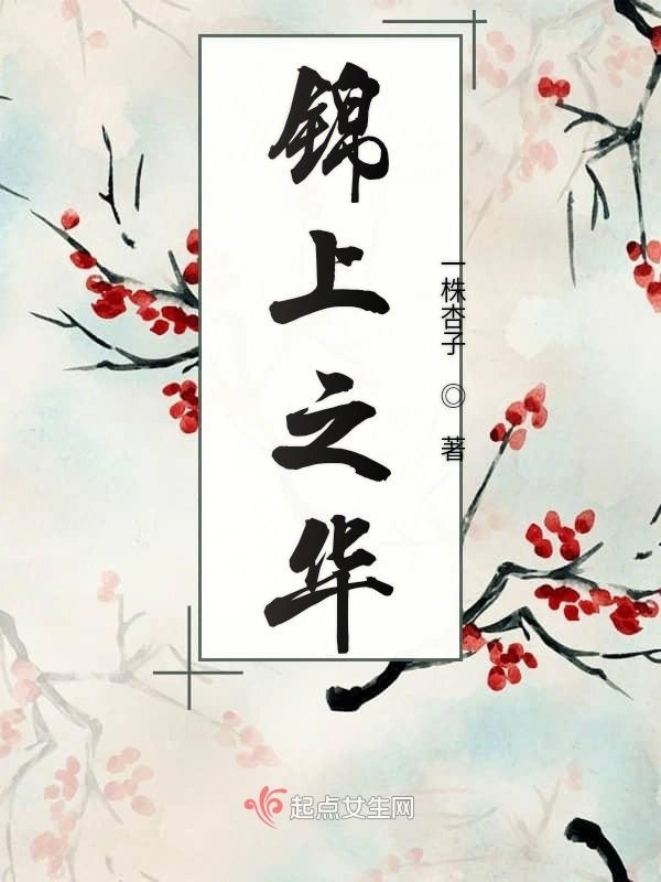 锦上之华