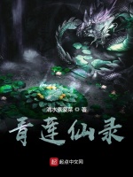 青莲仙录封面