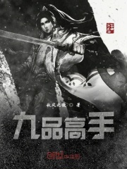 九品高手