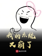 我的系统又崩了在线阅读