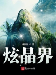 炫晶界在线阅读