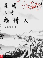 长城上的无情人在线阅读