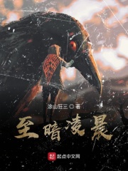 至暗凌晨在线阅读