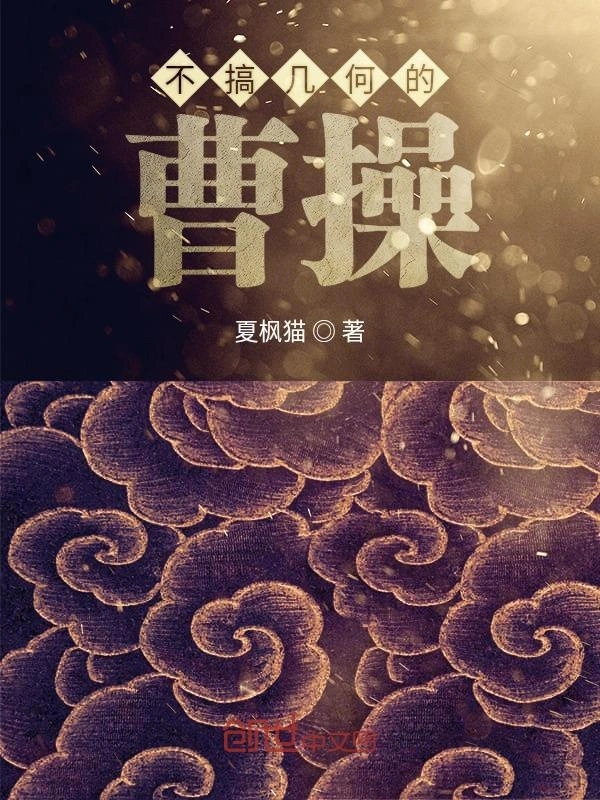 不搞几何的曹操