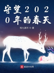 守望2020年的春天在线阅读