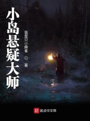 小岛悬疑大师