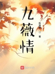 九薇情在线阅读