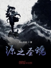 源之圣魂在线阅读