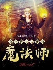 我在符文大陆当魔法师在线阅读