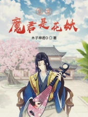堂堂魔君是花妖在线阅读