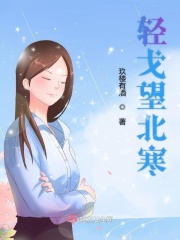 轻戈望北寒在线阅读