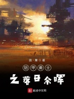 铠甲勇士之落日余晖在线阅读