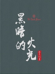黑暗的火光
