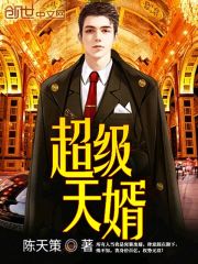 超级天婿