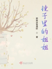 镜子里的姐姐在线阅读