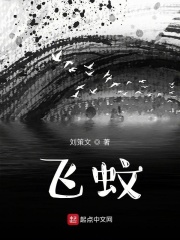 飞蚊在线阅读