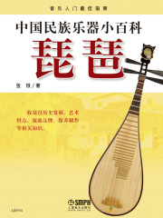 中国民族乐器小百科：琵琶