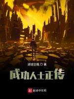 成功人士正传在线阅读
