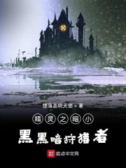 精灵之黑暗狩猎者