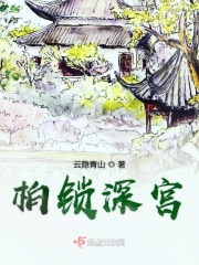 柏锁深宫 云隐青山著 古代言情 起点女生网