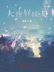 大唐好妹夫在线阅读
