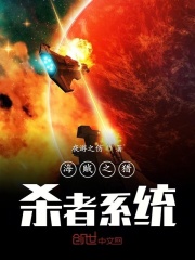 海贼之猎杀者系统