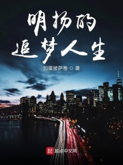 明扬的追梦人生在线阅读