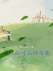 我对你付出的青春