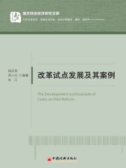 改革试点发展及其案例