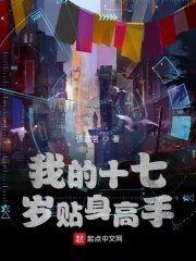 我的十七岁贴身高手