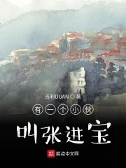 有一个小伙叫张进宝