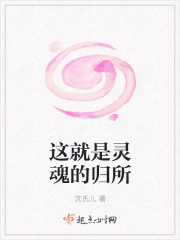 这就是灵魂的归所在线阅读