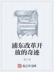 浦东改革开放的奇迹