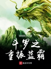 斗罗之重振蓝霸在线阅读