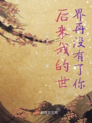 后来我的世界再没有了你在线阅读