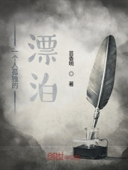 一个人孤独的漂泊在线阅读