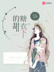 糖衣错爱陆京淮