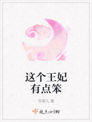 这个王妃有点笨