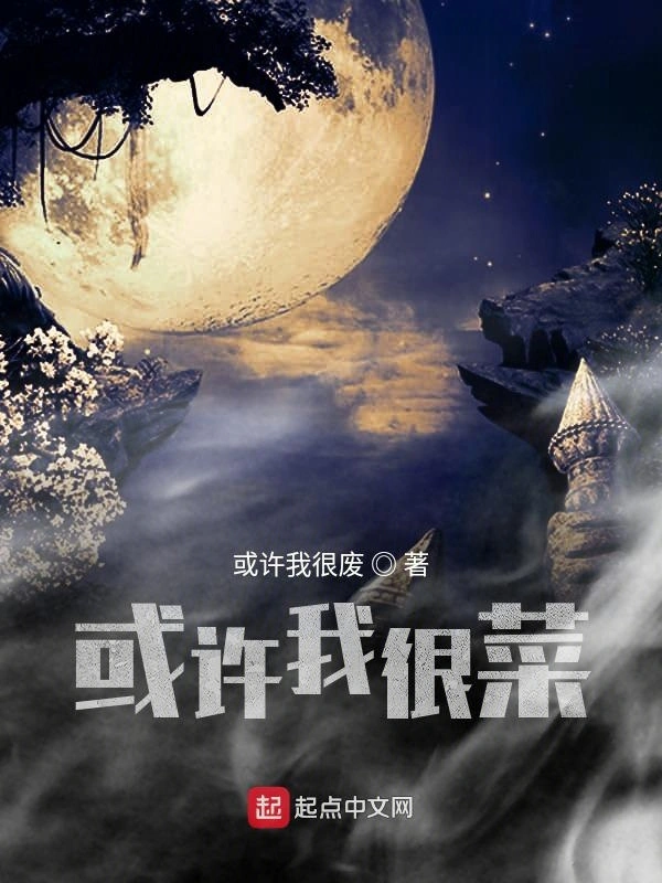 或许我很菜