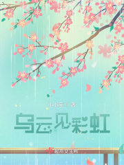 乌云见彩虹在线阅读
